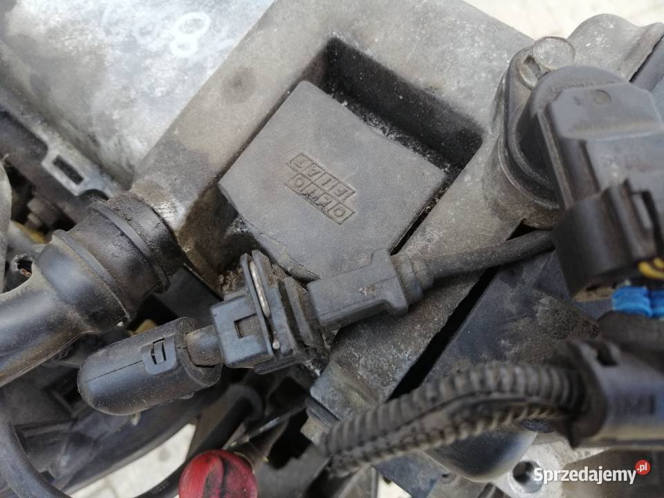 fiat Panda II Punto II 12 8v silnik kompletny Rok produkcji 2010 Silniki kompletne