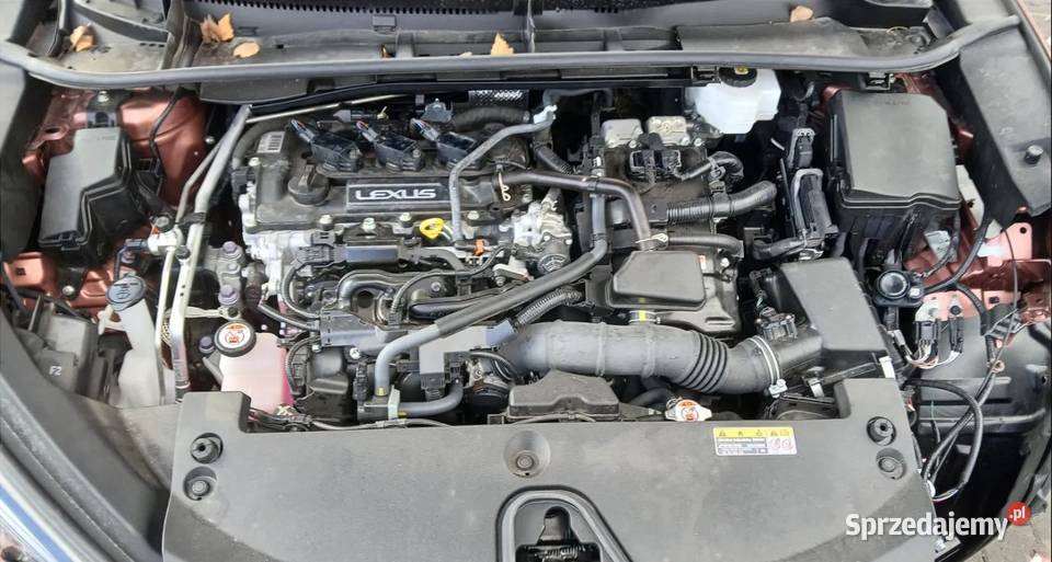 Lexus LBX 15 Hybrid Emotion AWD Olsztyn