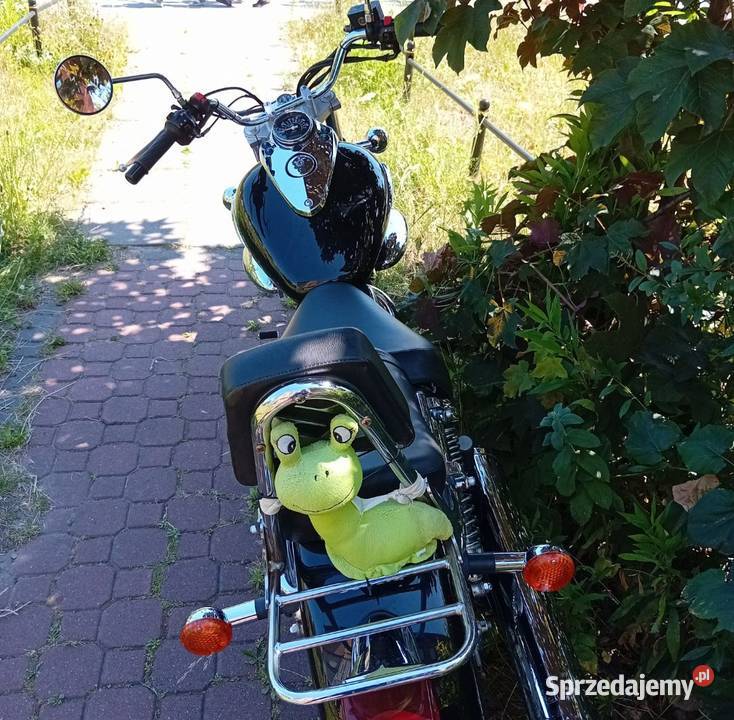 Suzuki VL INTRUDER 125 nieuszkodzony mazowieckie