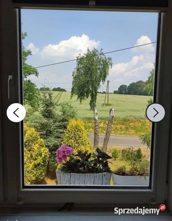 M3 bezczynszowe z działką rekreacyjną pow garaż Sprzedaż małopolskie Głębowice