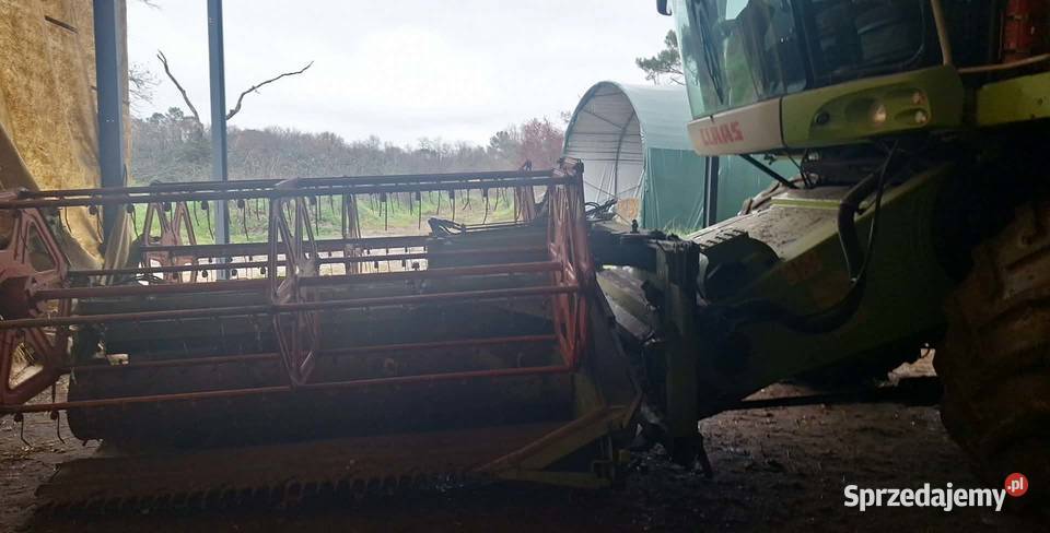 Kombajn zbożowy Claas Lexion 550 z hederem Zbożowe Zbożowe Łomża
