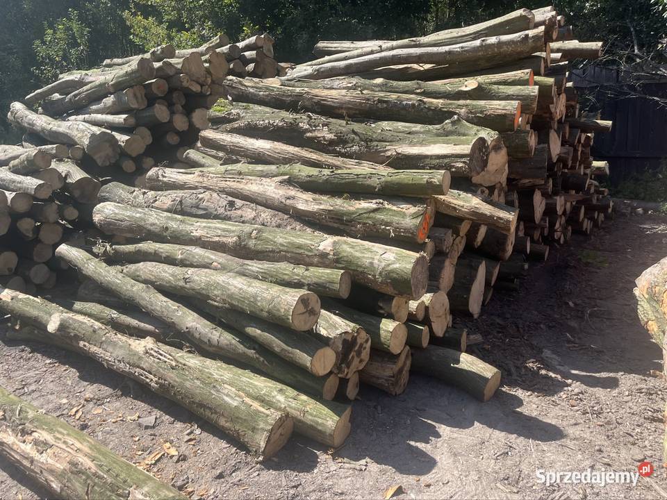 Drewno opałowe kominkowe Zamość