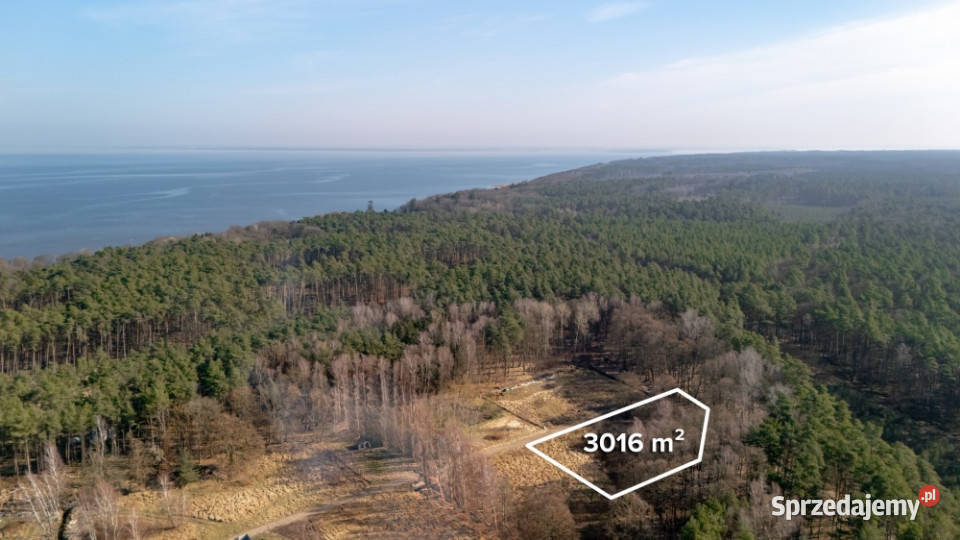 Działka pod lasem z wydanymi warunkami 120 m2 Szczecin