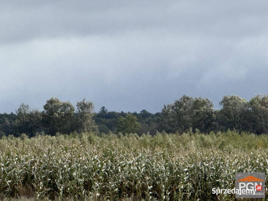 Sprzedaż działki Gryfice 3000m2 telefon zachodniopomorskie