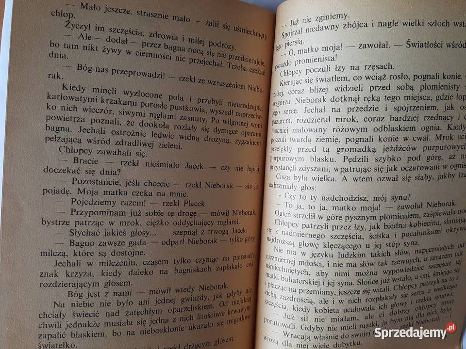 Powieść młodzieży O DWÓCH TAKICH CO UKRADLI wielkopolskie Złotniki