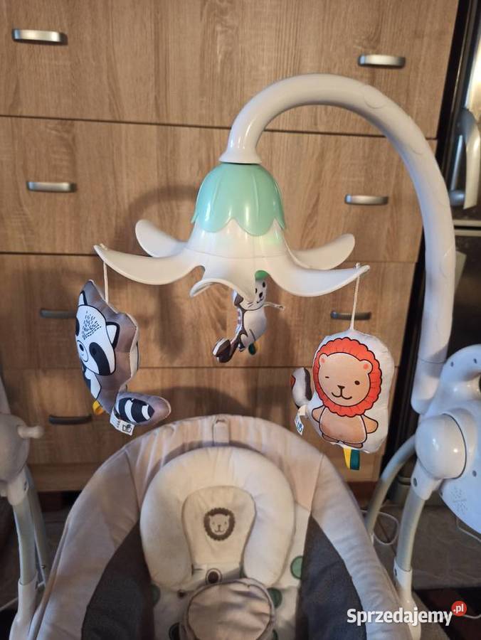 bujaczek Lionelo Robin Warszawa sprzedam