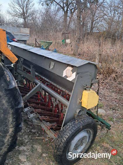 Siewnik poznaniak Krupe