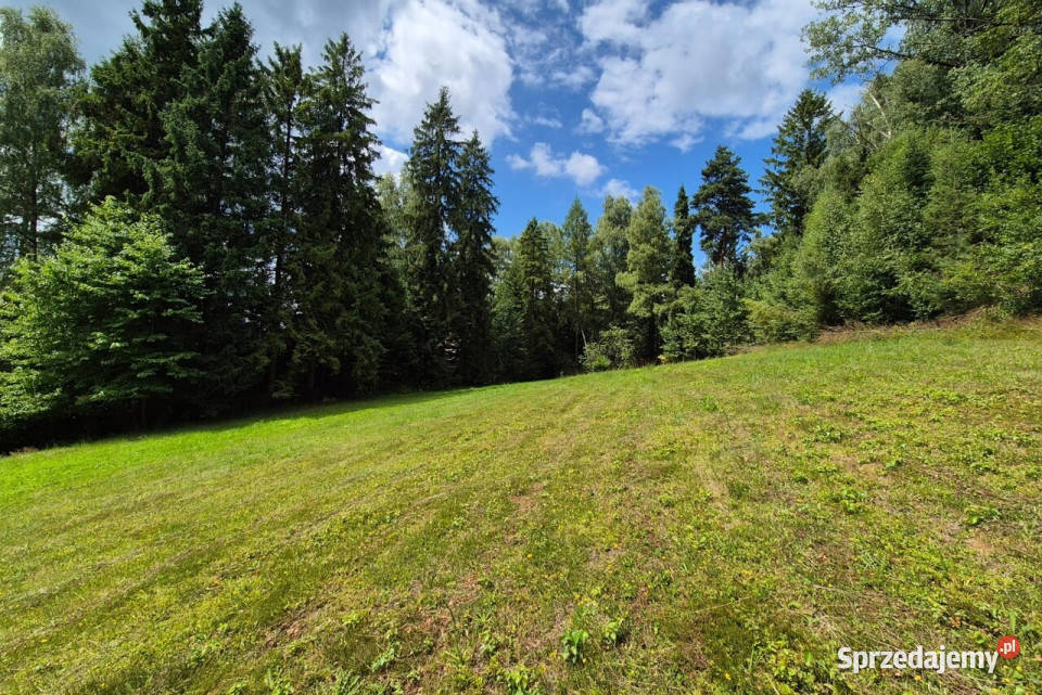 Działka budowlana z widokiem na Tatry Naprawa 3502m2 sprzedam