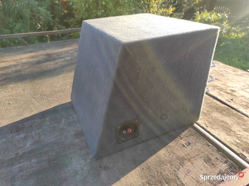 Subwoofer Tuba Pioneer