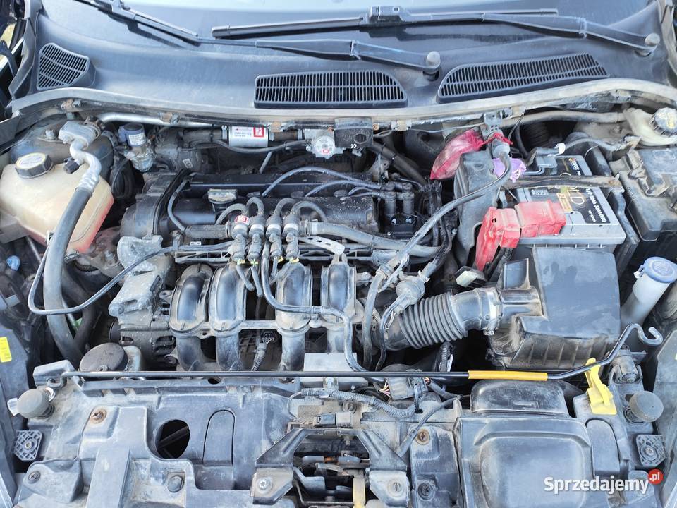 Ford Fiesta mk7 2015 Skała