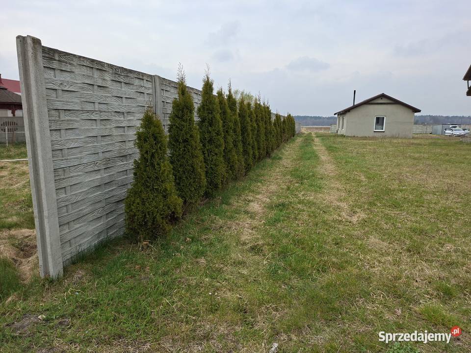 Działki budowlane Włoszczowa sprzedam