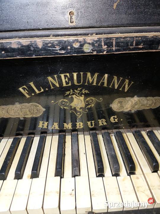 Fortepian z piwnicy Babci opolskie