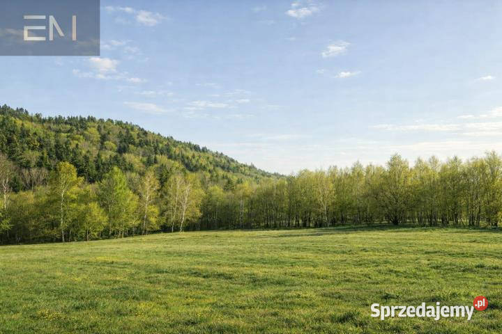 Działka 8800m2 Huta Gogołowska podkarpackie