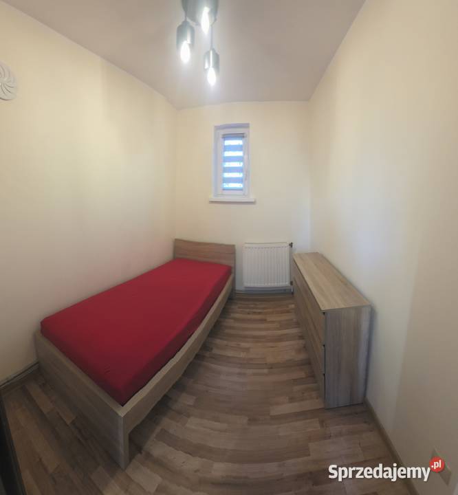Mieszkanie 42m2 domek parterowy Wynajem