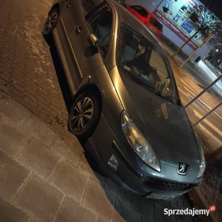 Peugeot 407 Turek