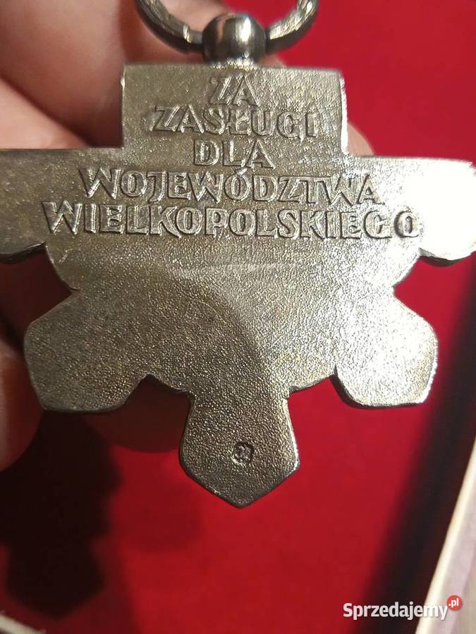 Zasługi Województwa Wlkp z dokumentem 2006 wielkopolskie Poznań