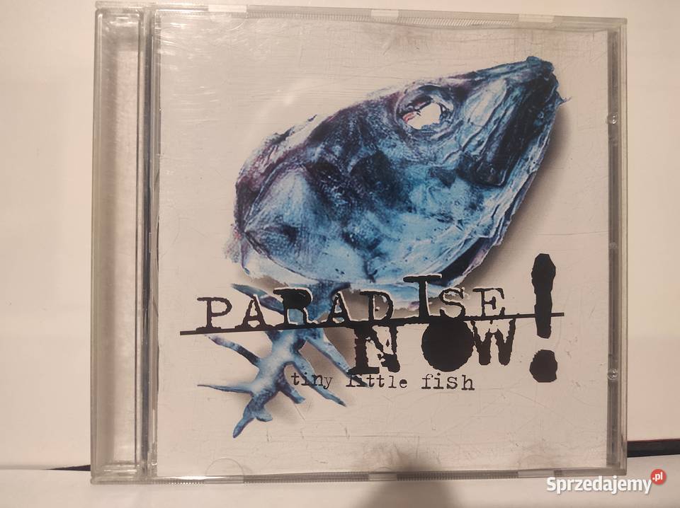 CD wyprzedaż kolekcji z 2500