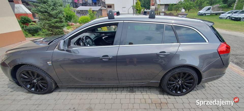 Opel Insignia 20CDTI SportTourer OPC line 2000cm3 Rzeszów