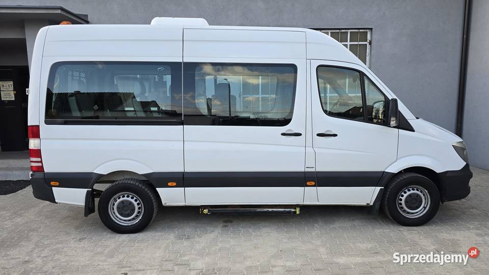 MercedesBenz Sprinter 906213 BlueEFFICIENCY Sprinter Nowy Świętów