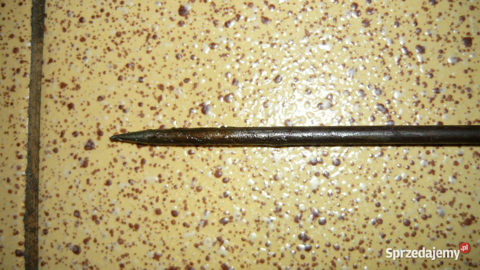 Szpilka 29 szpila kolec szpikulec z uchem podlaskie Sokółka sprzedam