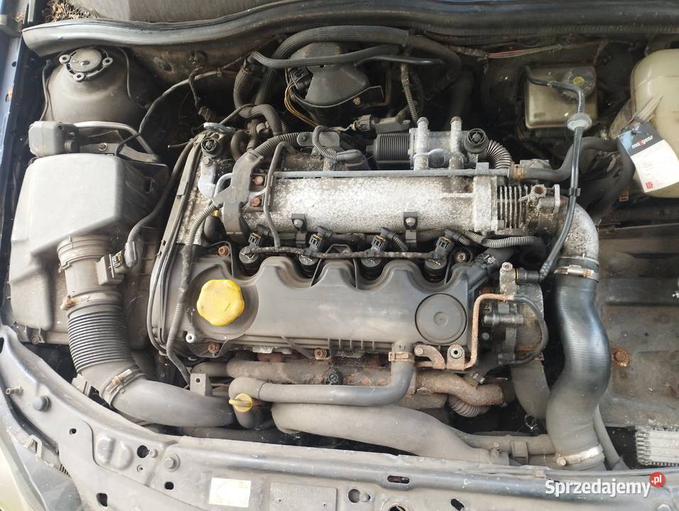 Silnik z19dtdtl Zafira b astra h Vectra c Sosnowiec