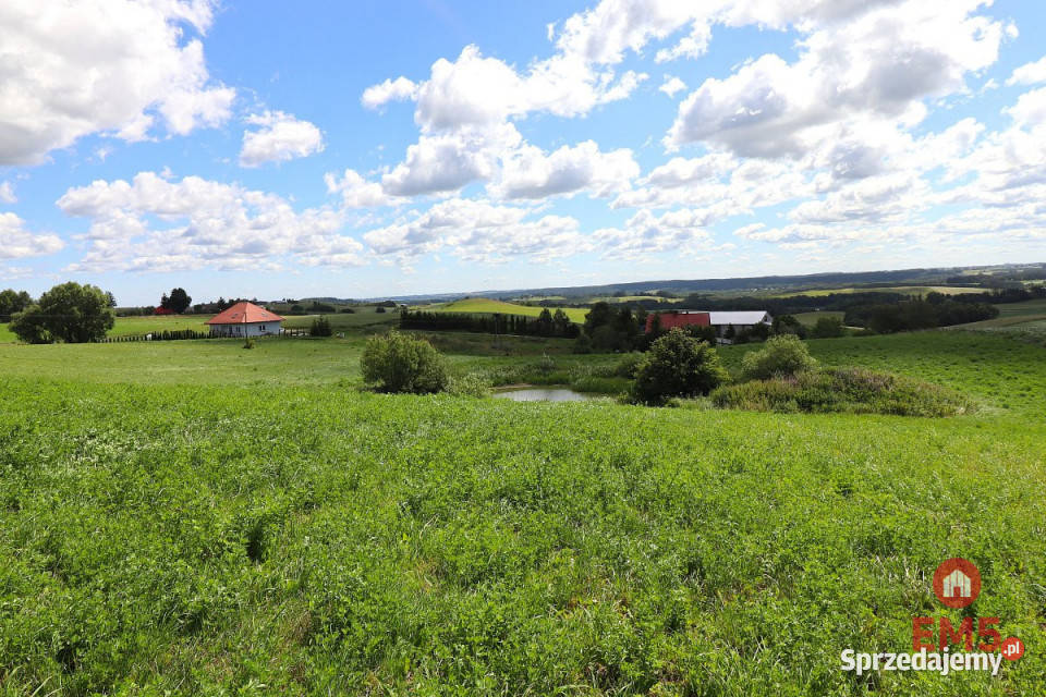 sprzedaży gruntu 4800m2 Olszanka