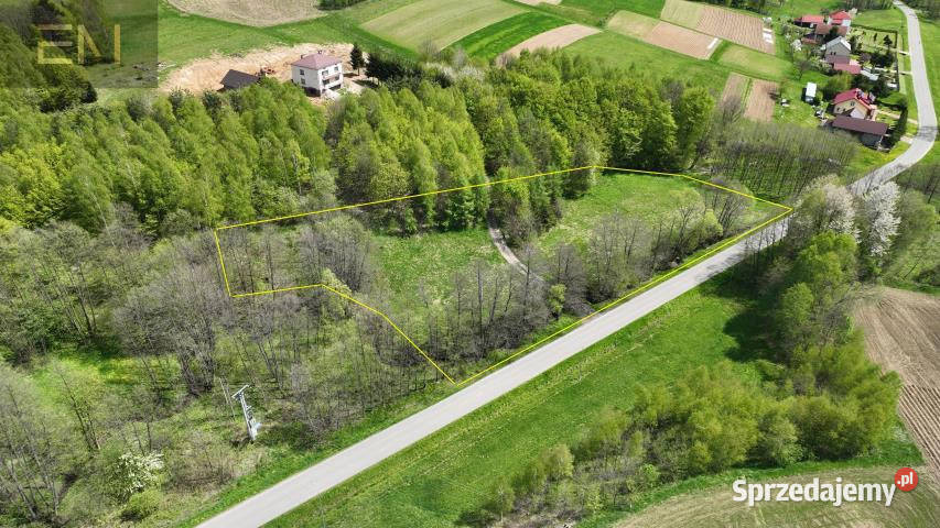 Sprzedaż działki 5000m2 Huta Gogołowska Sprzedaż sprzedam