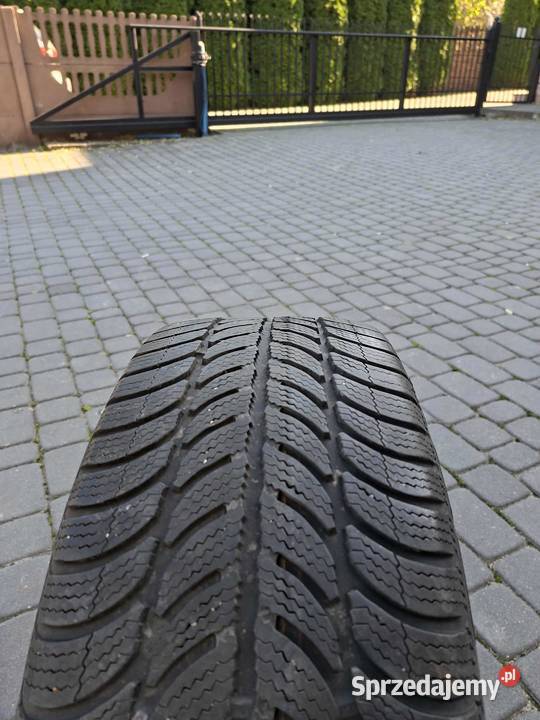 Koła zimowe 16 Dębica frigo 2065516 Jędrzejów