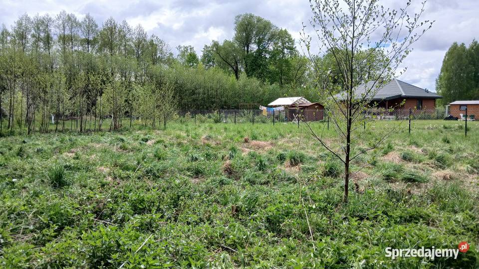 Sprzedam działkę 1000m2 Malużyn bezterm warunki sprzedam
