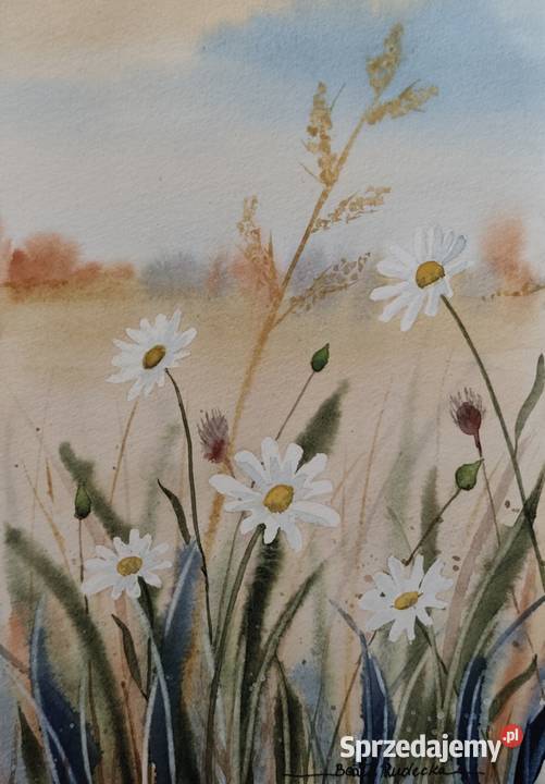 Akwarela Akwarelka Obraz pt Łąka 4 Poznań