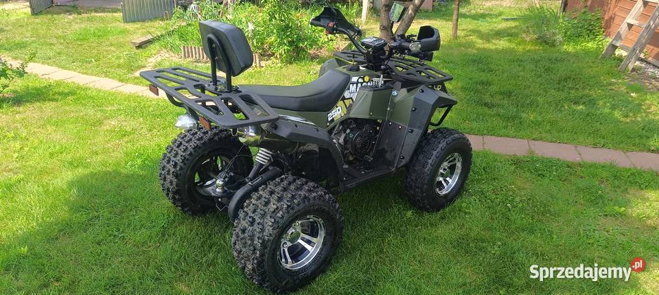 Quad Apollo Magnum 250 CC nowy dziecku idealny nieuszkodzony mazowieckie Sochaczew-Wieś