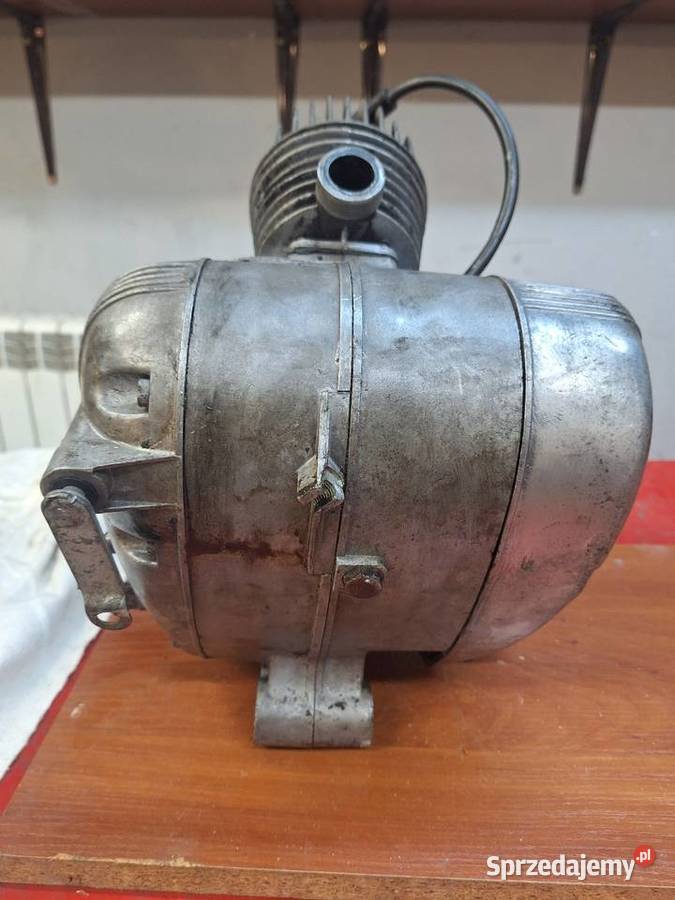 Komar sztywniak silnik S38 Krzywcza