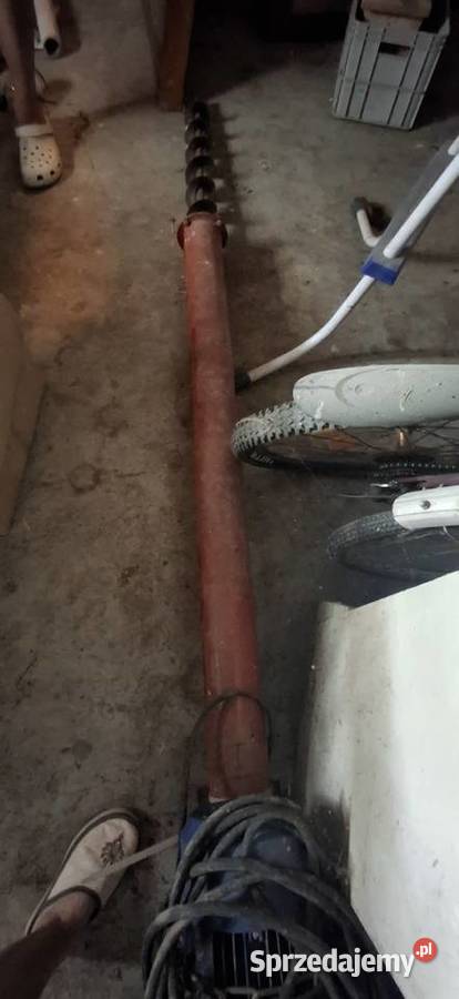 Ślimak zbożowy podajnik żmijka do zboża podkarpackie Sonina