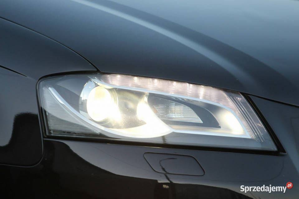 Audi A3 8P 2011r 12 Benzyna ALUSY biXENON światła przeciwmgielne Nysa