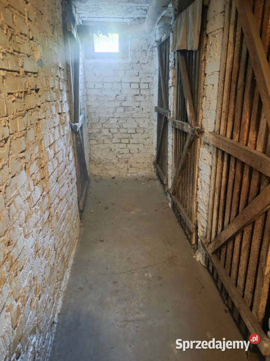 3 pokoje dużo zieleni Sołacz balkon Poznań