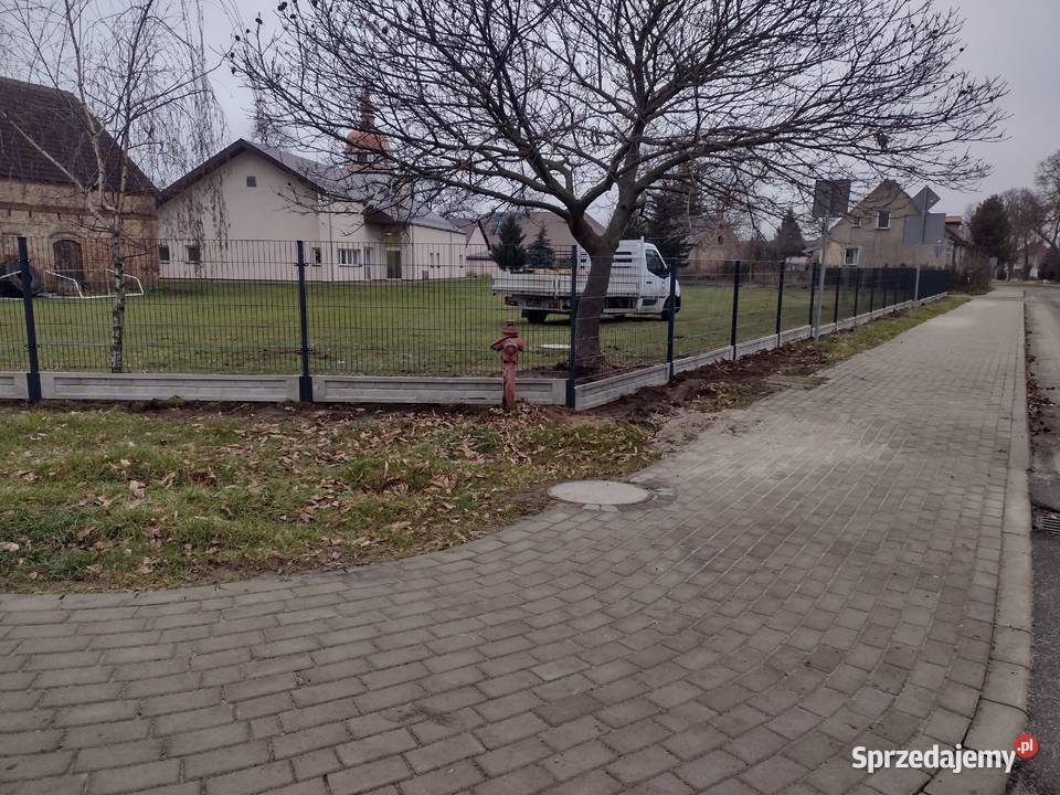 Nowoczesne Panele Ogrodzeniowe 2D 3D Siatki i panele Torzym