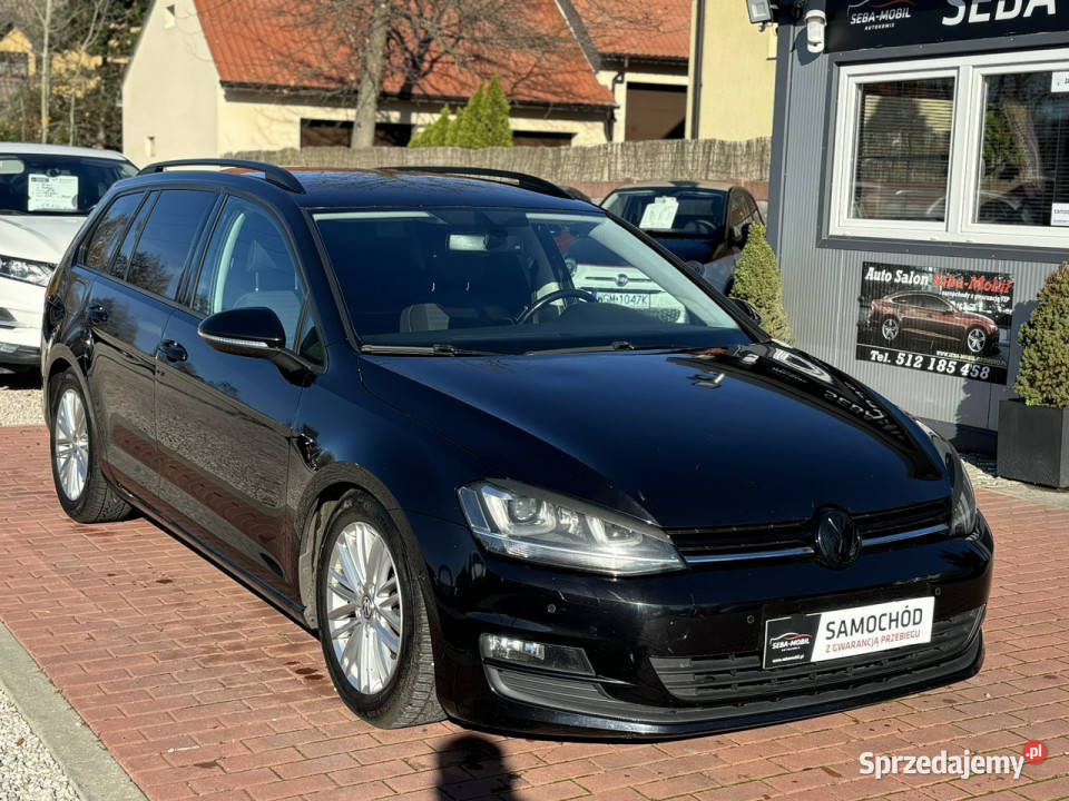 Volkswagen Golf Gwarancja Navi Bluetooth Ksenon czujnik parkowania mazowieckie Sade Budy