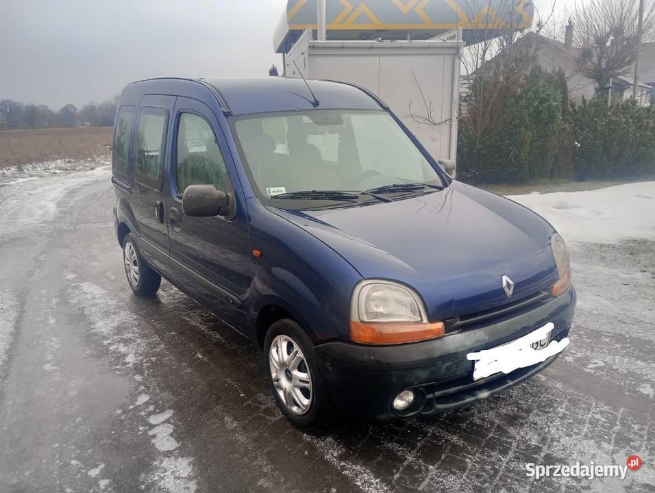 Renault Kangoo wielkopolskie Orchowo sprzedam