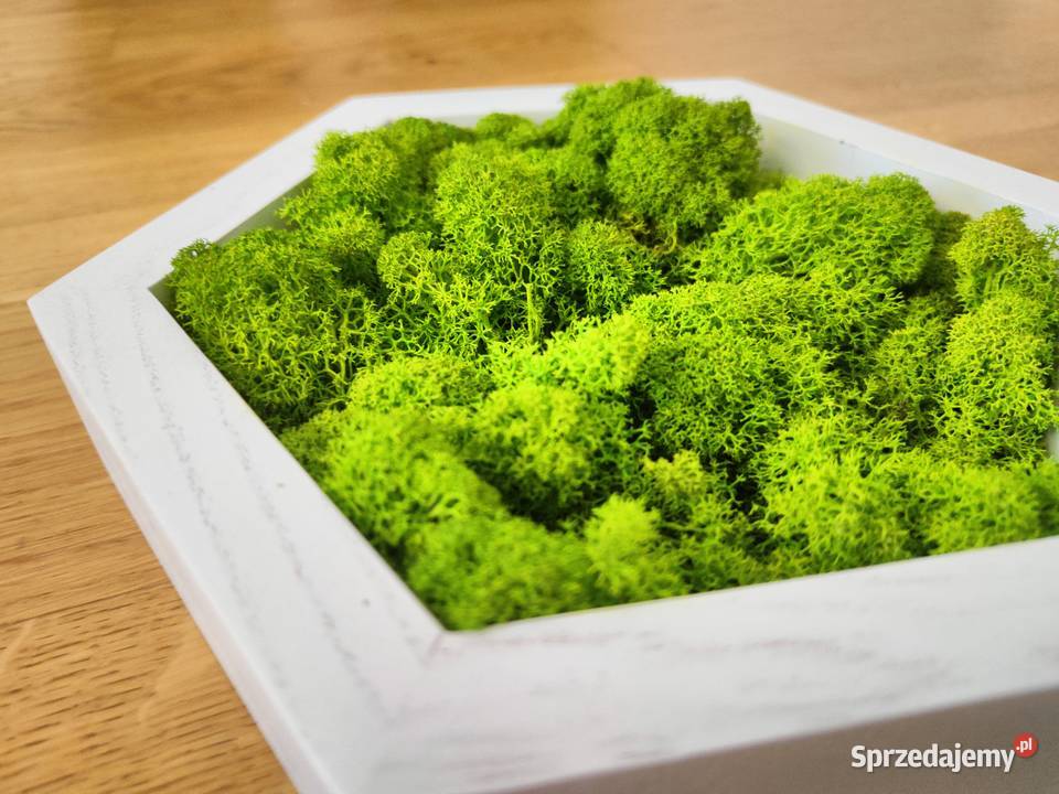 Ramki heksagon komplet 3 Pozostałe Wrocław