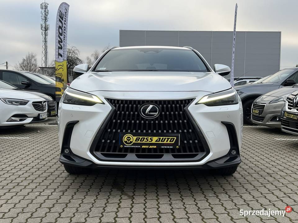 Lexus NX 300 2022