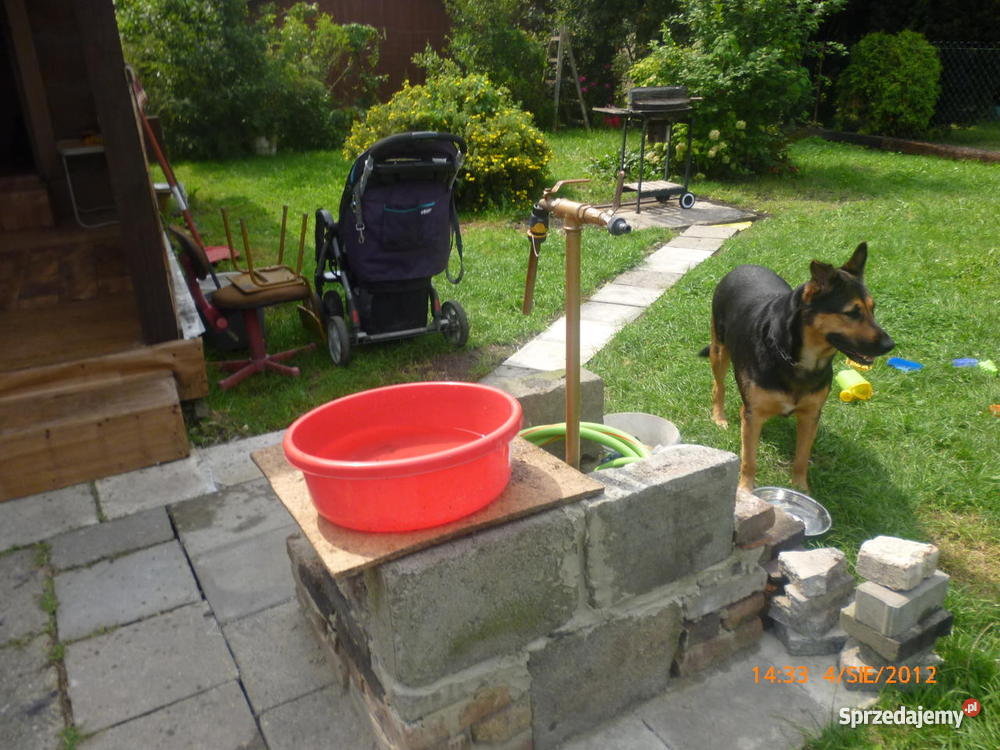 Ogródek Działkowy KATOWICE śląskie Katowice