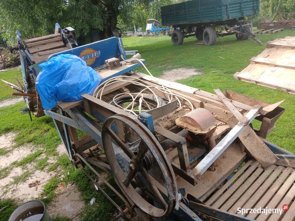 Sortownik do ziemniaków Gloria