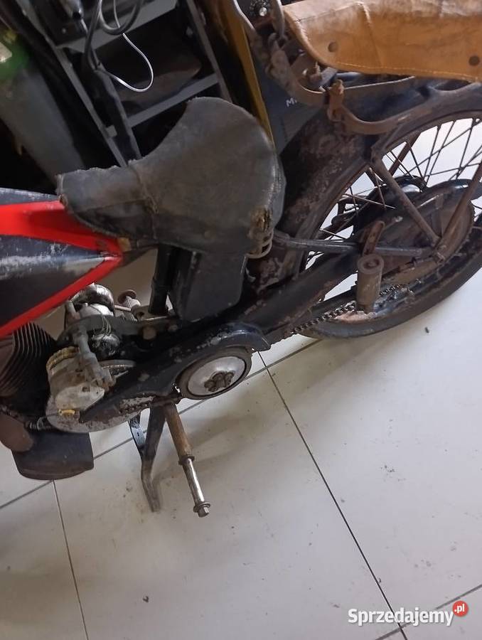 Sprzedam terrot175 Gostycyn