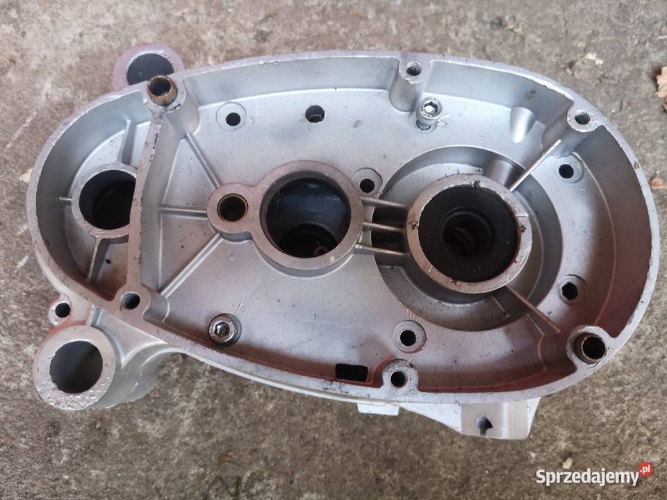 Kartery komar Łochów