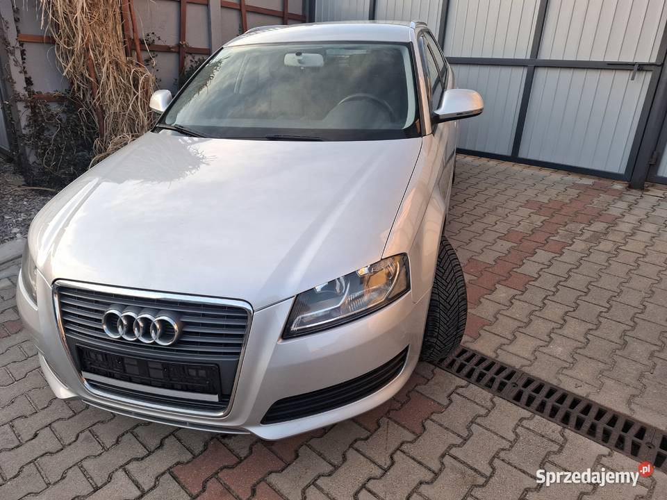 Audi a3 16 MPI 102 SerwisBezwypadekZadbany 1600cm3 świętokrzyskie