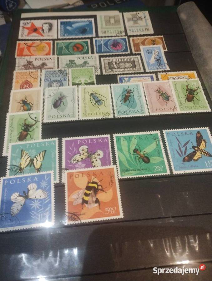 Rocznik 1961 Kędzierzyn-Koźle