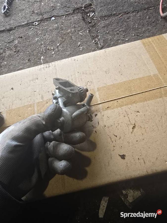 Gaznik jawka lubuskie Gorzów Wielkopolski