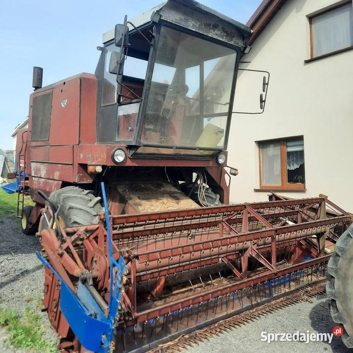 Bizon zo 56 Bizon Pelplin sprzedam