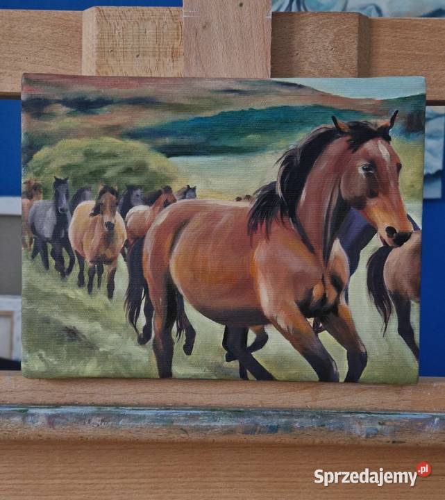 Obraz olejny Pędzące konie 18x24 Męcina