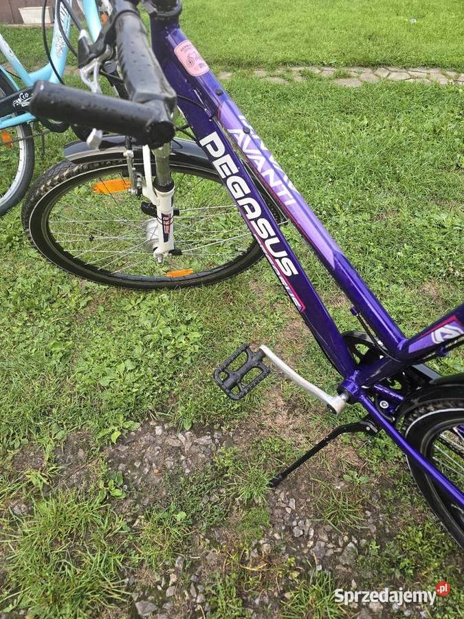 Rower 26 Pegasus lubelskie Susiec